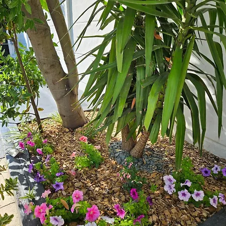 Le Jardin 28 Dom wakacyjny *